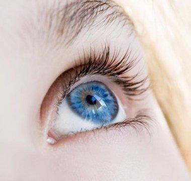 Blue-eyed humans have a single, common ancestor