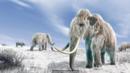 BBC - Earth - How to decide which extinct species we should resurrect
